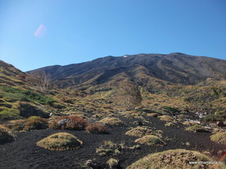 rrente Quarantore-01-11-2012 11-02-18